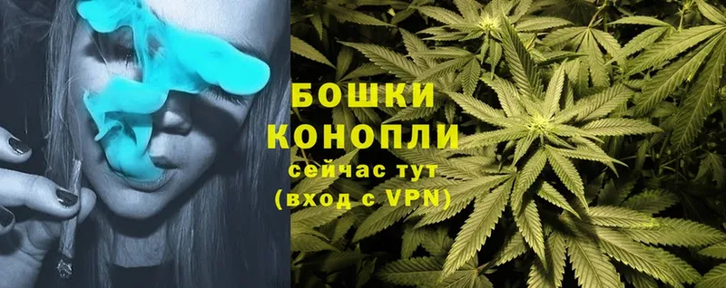 Бошки марихуана THC 21%  где купить   Жирновск 